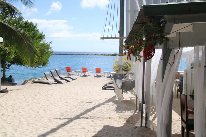 Coral Reef Beach Aruba