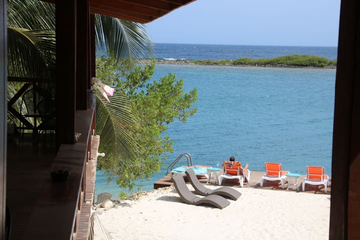 Coral Reef Beach Aruba