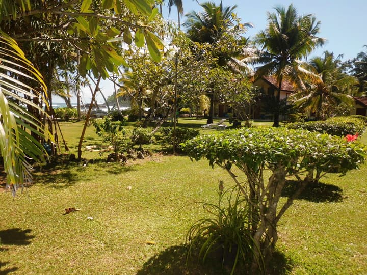 Paradise Beach Club