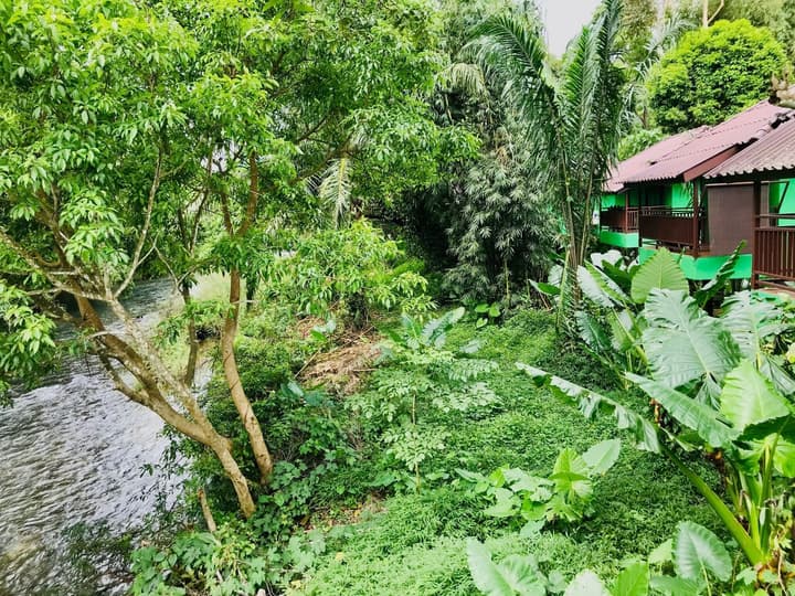 Khao Sok River Lodge Hotel