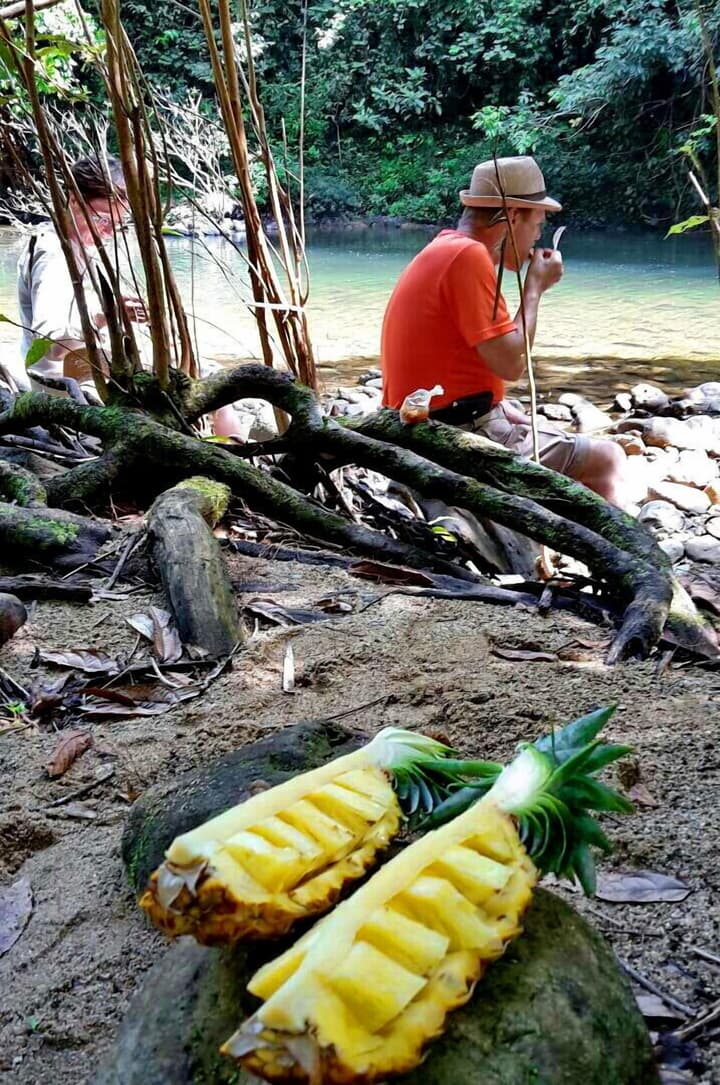 Khao Sok River Lodge Hotel
