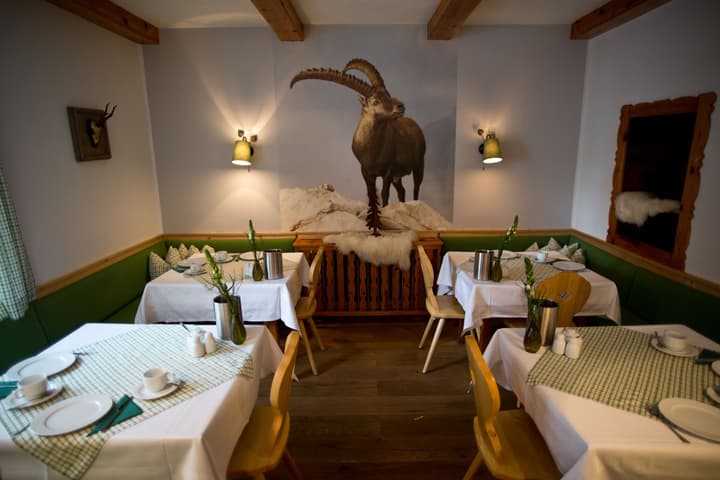 Hotel Gamshof