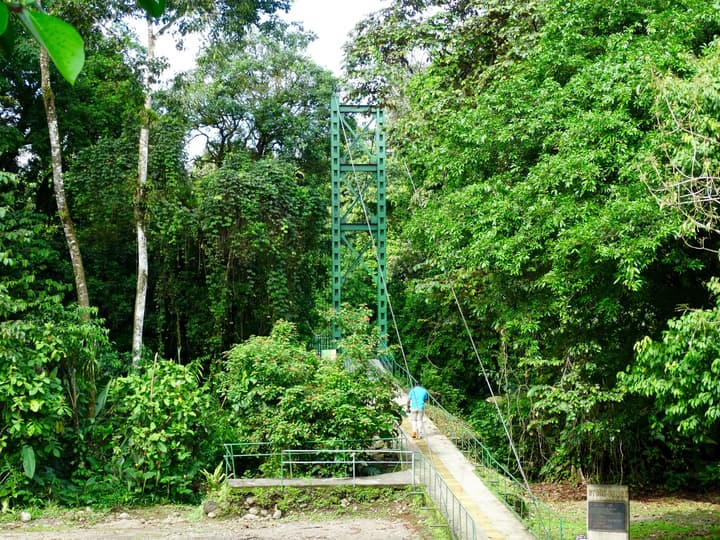 La Selva Biological Station