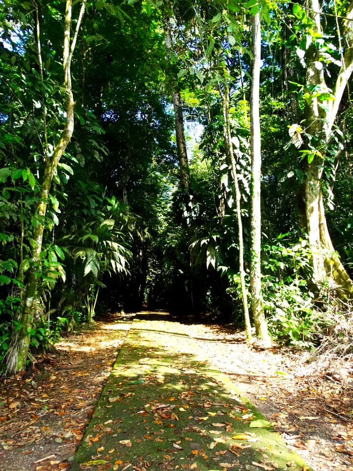 La Selva Biological Station