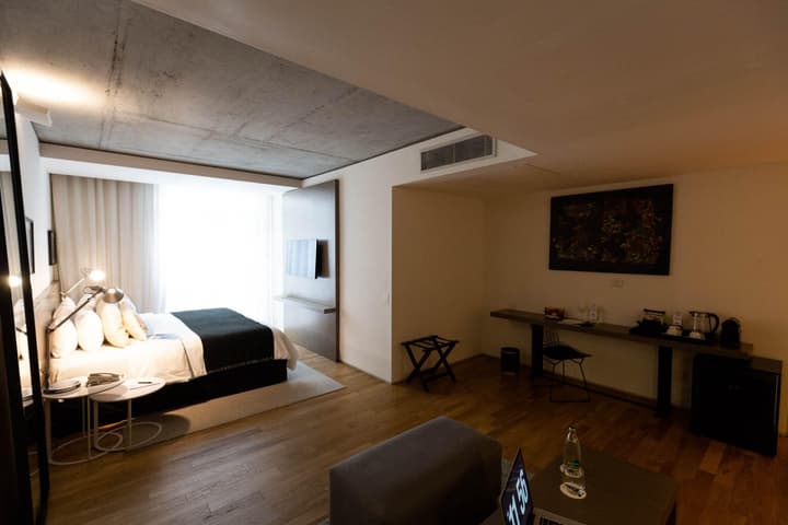 Anselmo Buenos Aires Curio Collection By Hilton