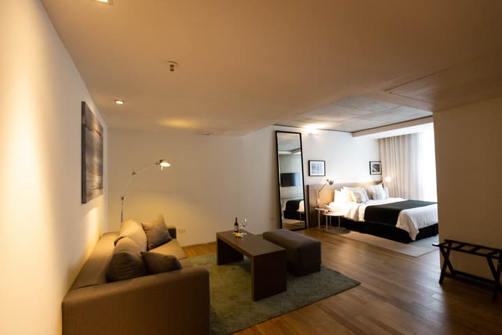 Anselmo Buenos Aires Curio Collection By Hilton