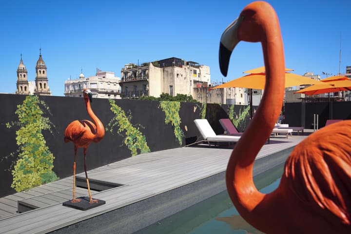 Anselmo Buenos Aires Curio Collection By Hilton