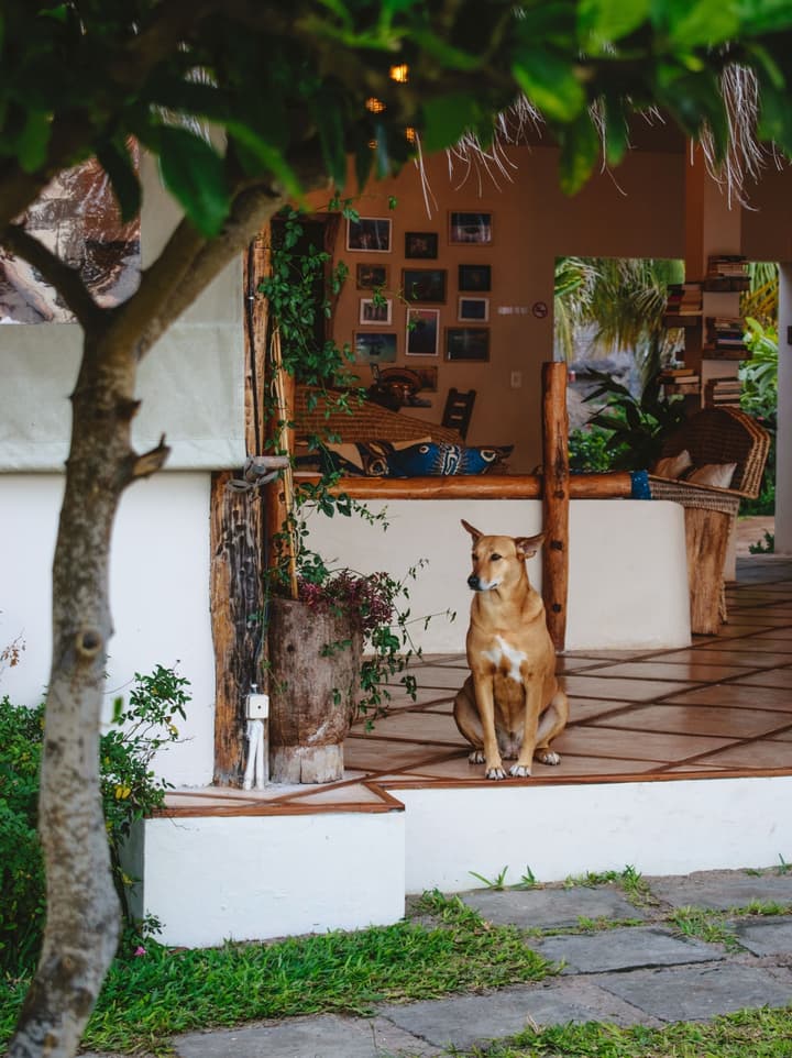 Casa Babi