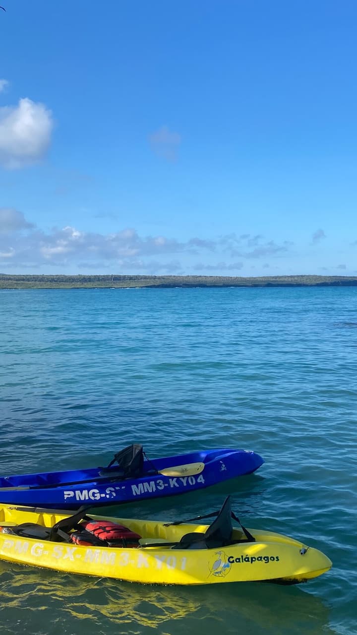 Galapagos Dreams