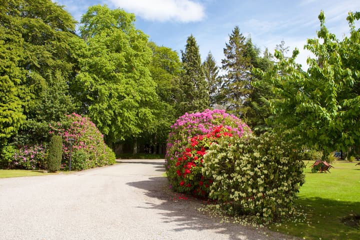 Ramnee Hotel