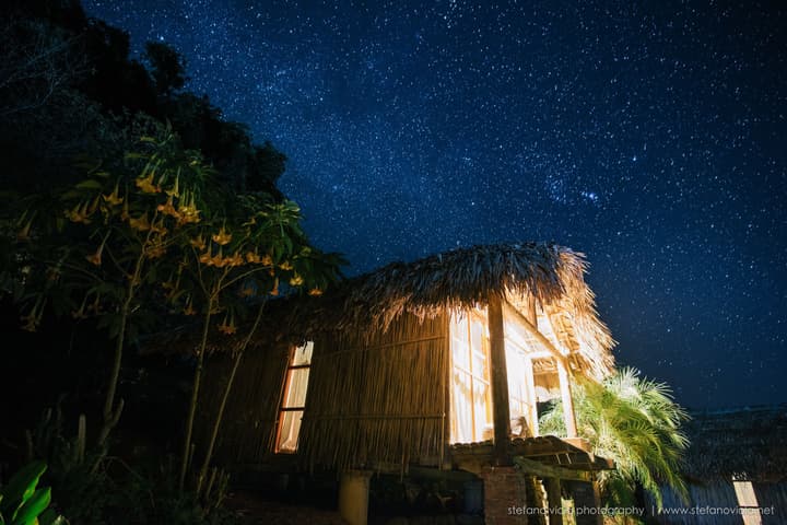 Eco Palms House - Sapa Retreat