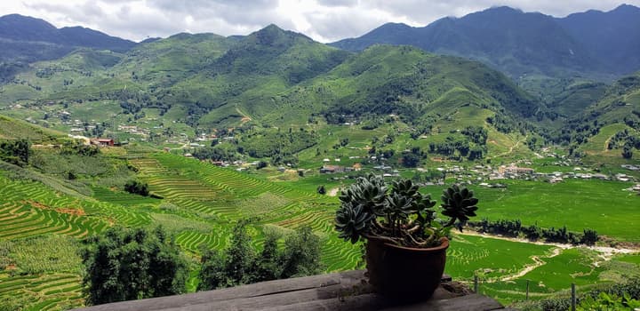Eco Palms House - Sapa Retreat