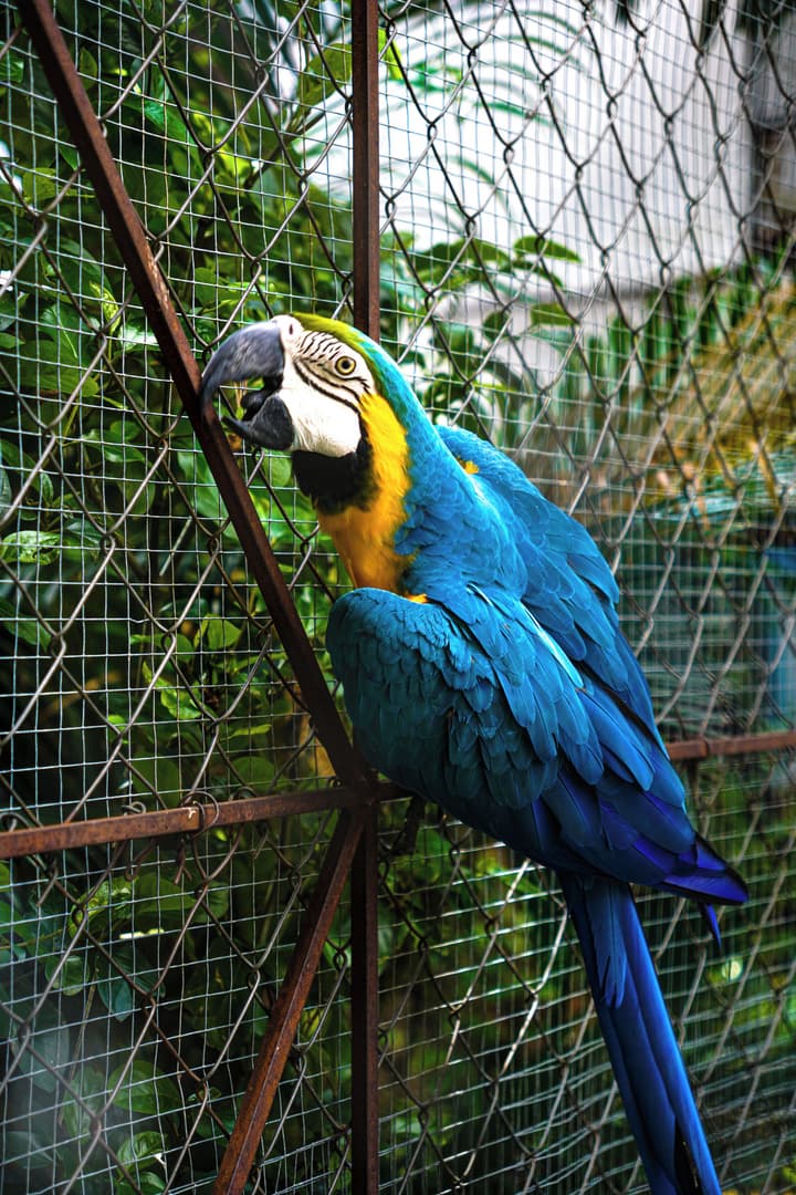 Panama House Bed & Breakfast