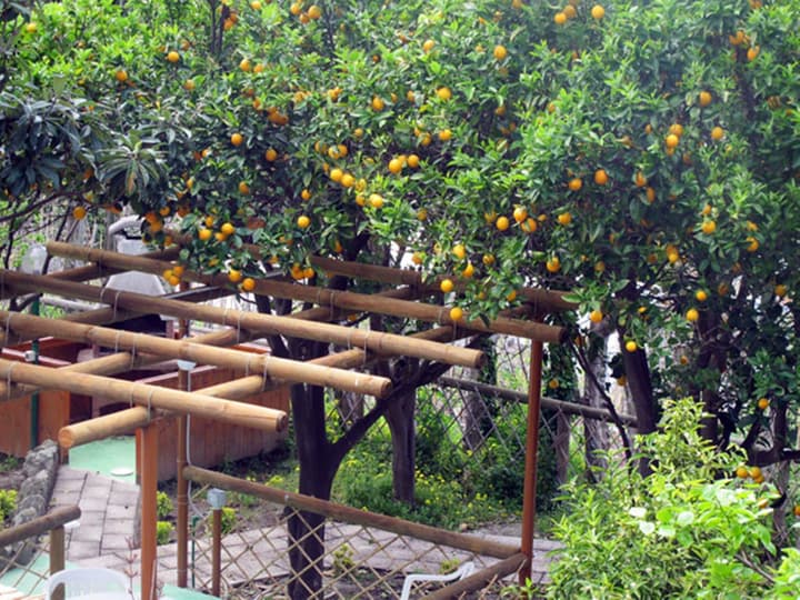 Hotel Residence Villa Marinù