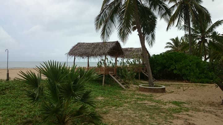 Wellé Wadiya