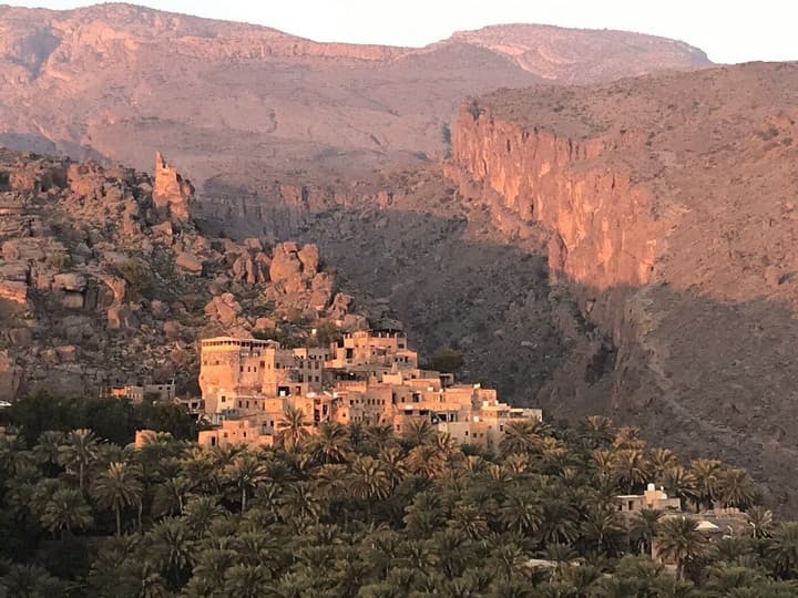 The View