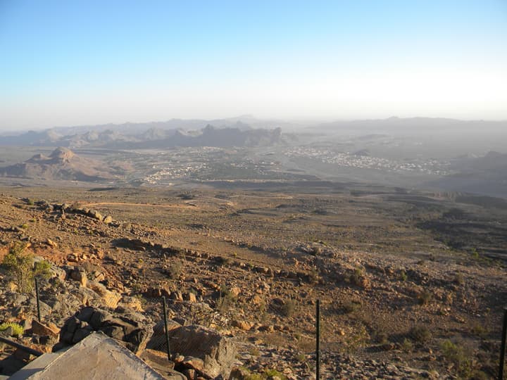The View