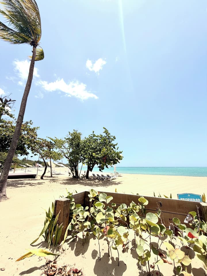 Riviera Azul - Playa Dorada