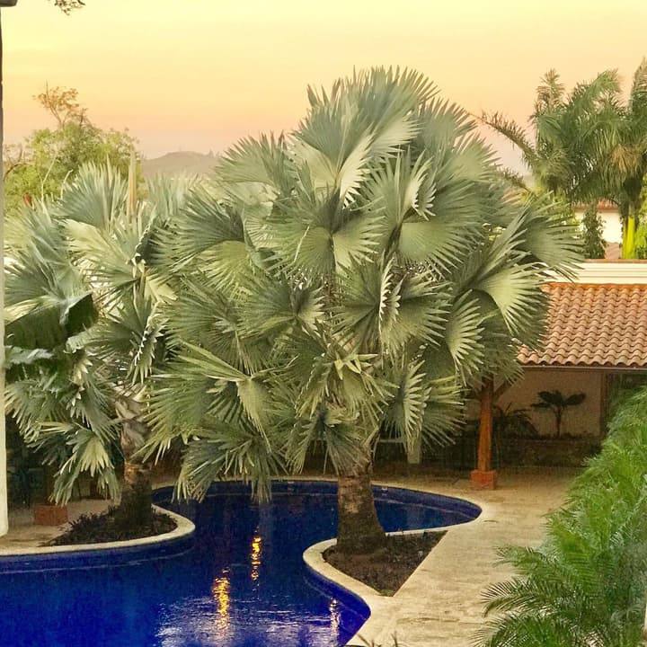 Hotel Gran David