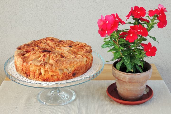 TerraSole Bakery B&B