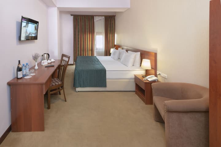 Ani Central Inn