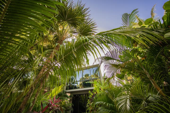 Casa Malca