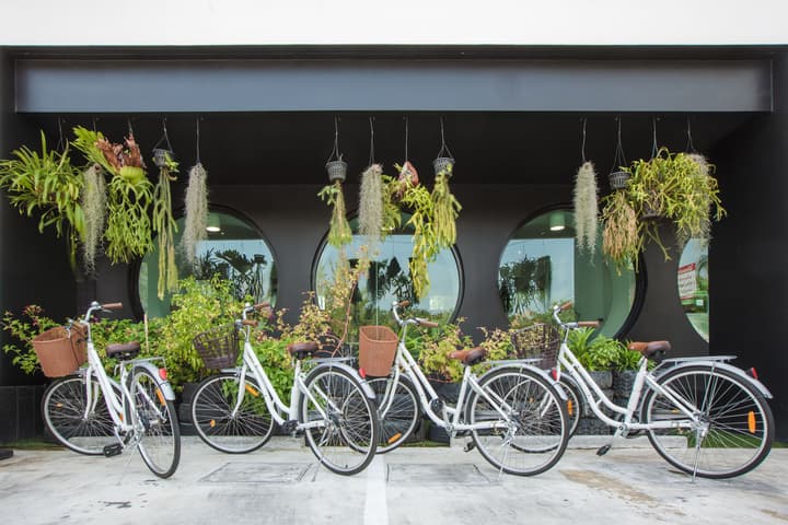 Blu Monkey Hub and Hotel Phuket