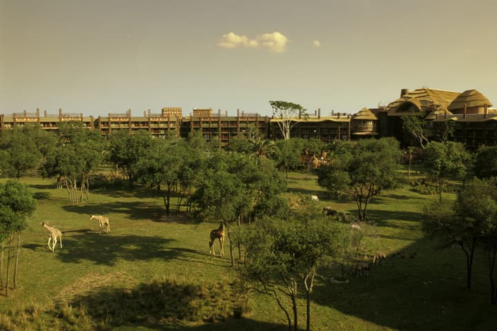 Disney's Animal Kingdom Villas - Jambo House