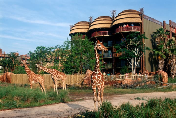 Disney's Animal Kingdom Villas - Jambo House