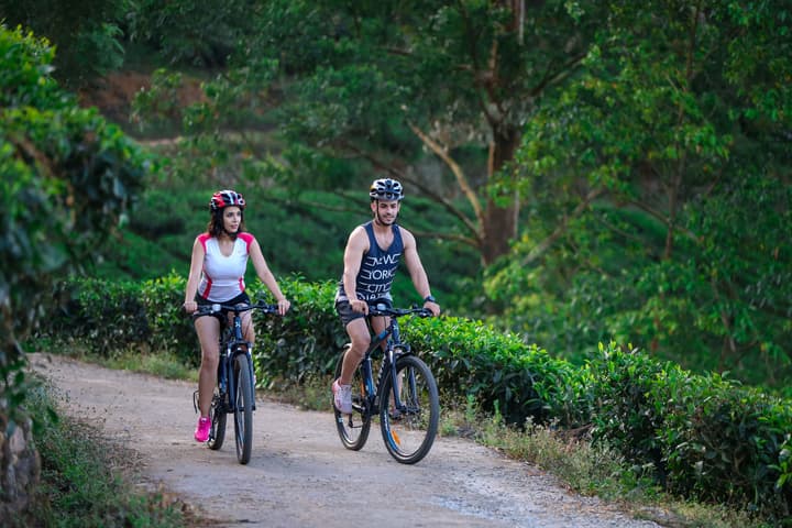 Fragrant Nature Munnar - A Classified Hotel