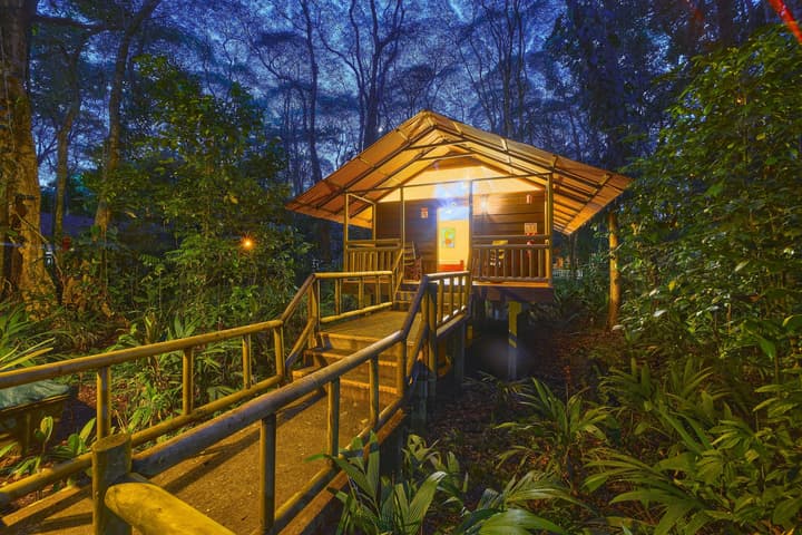 Evergreen Lodge