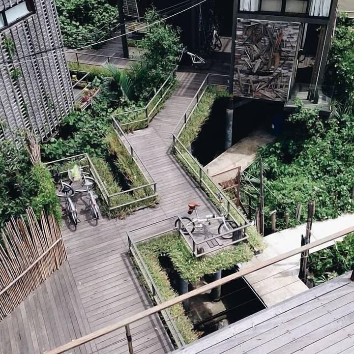 Bangkok Tree House