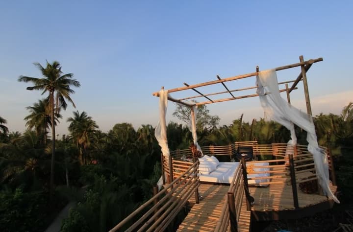 Bangkok Tree House