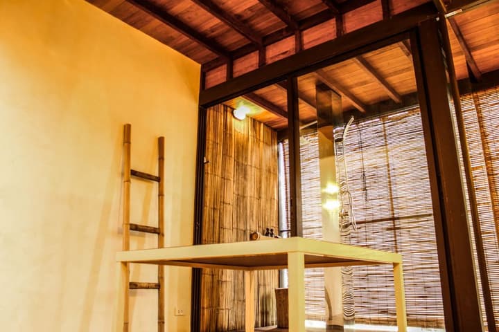 Bangkok Tree House