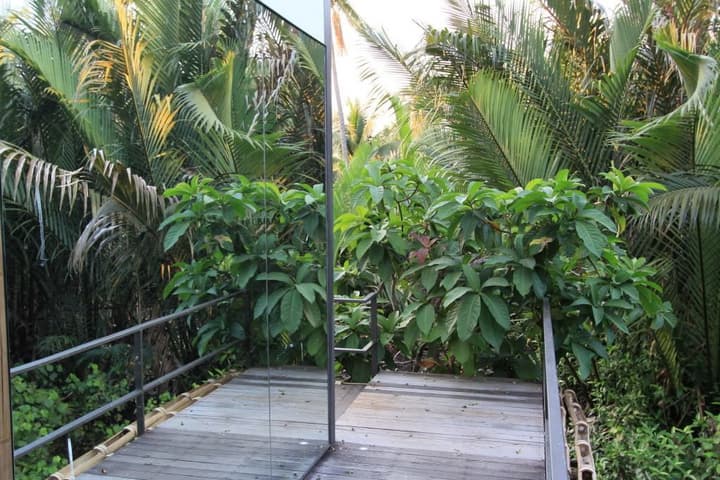 Bangkok Tree House