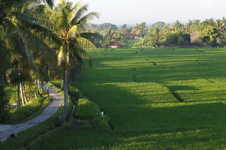The LUXE Ubud, a Boutique Hotel