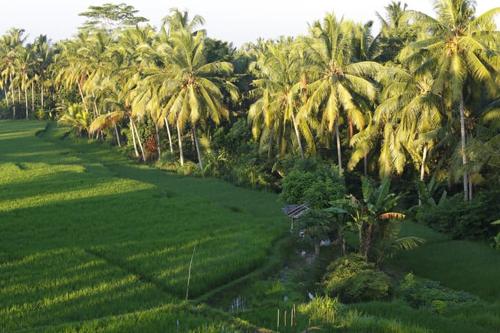 The LUXE Ubud, a Boutique Hotel