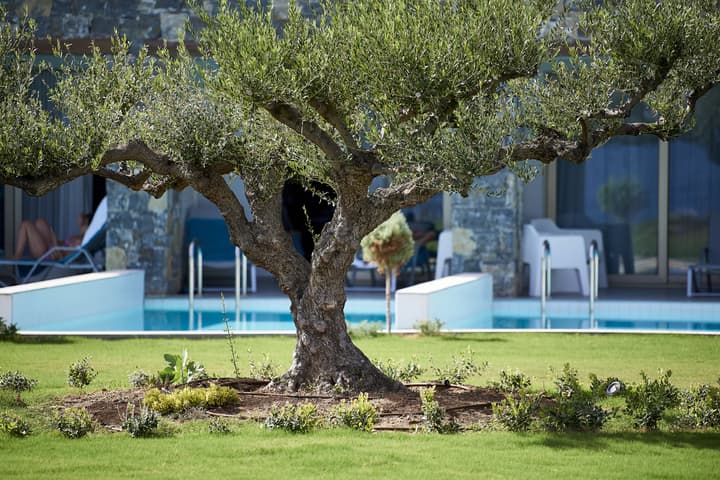 Kakkos Beach Hotel - Adults Only