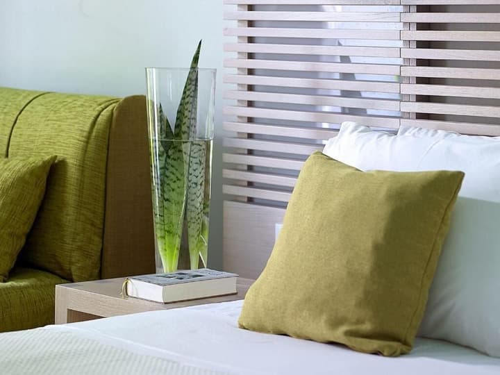 Kakkos Beach Hotel - Adults Only
