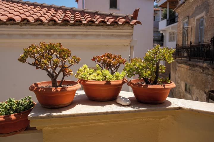 Aktaion City Hotel