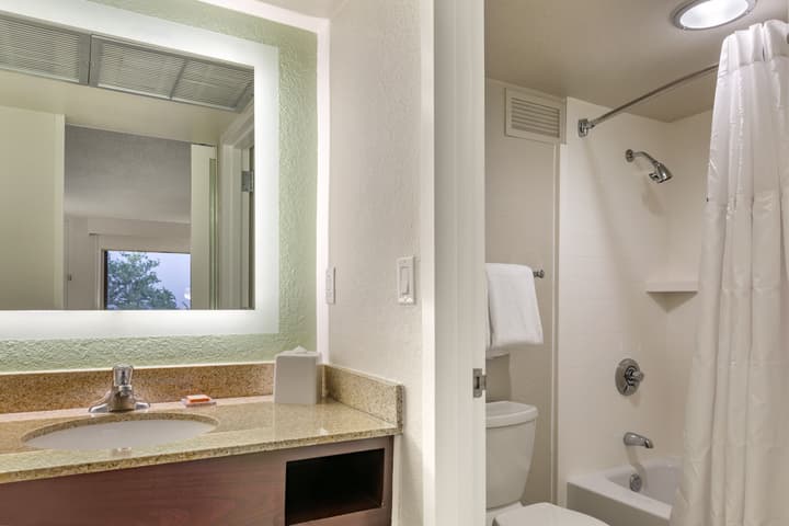Wyndham Garden Lake Buena Vista – Disney Springs® Area