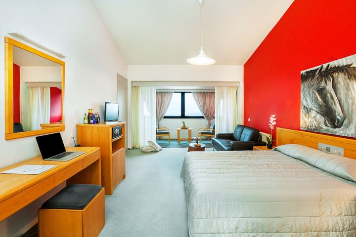 Troodos Hotel