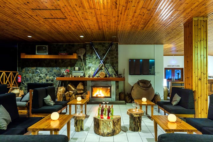 Troodos Hotel