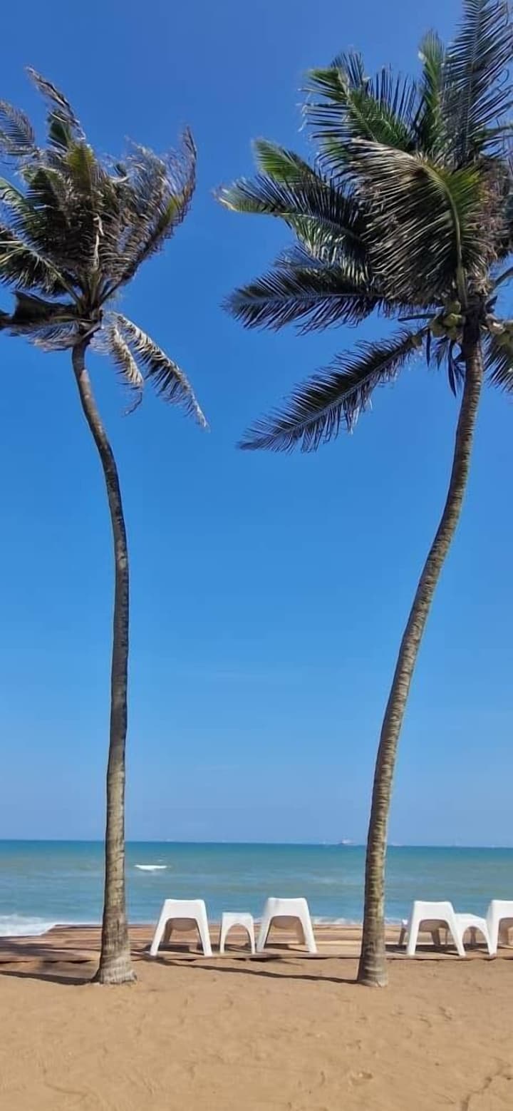 New Robinson Plage
