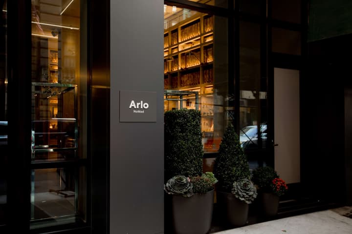 Arlo NoMad