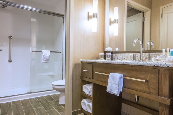 Hampton Inn Houston Downtown Convention Center