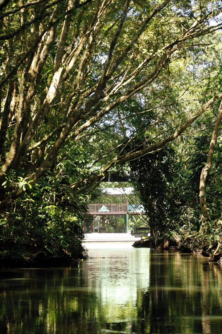Turtle Beach Lodge