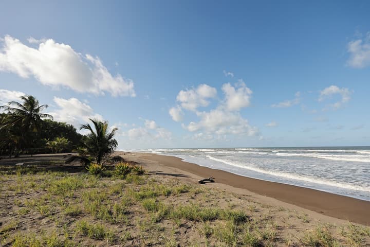 Turtle Beach Lodge