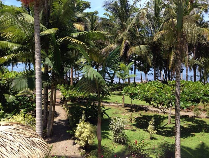 Villas Del Caribe