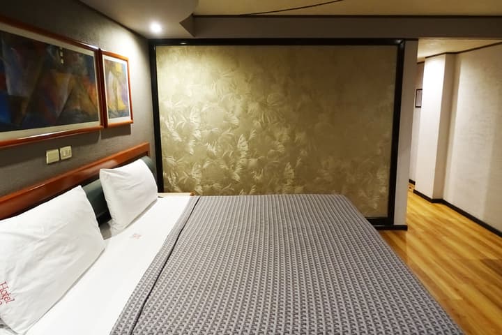 Hotel Oslo - In Mexico City (Benito Juarez)